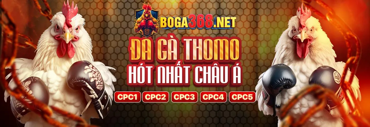 Giao diện đặt cược đá gà kong88