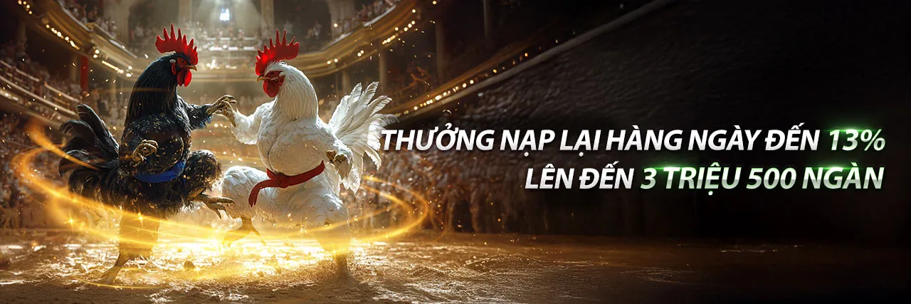 Đá gà trực tuyến hấp dẫn tại kong88